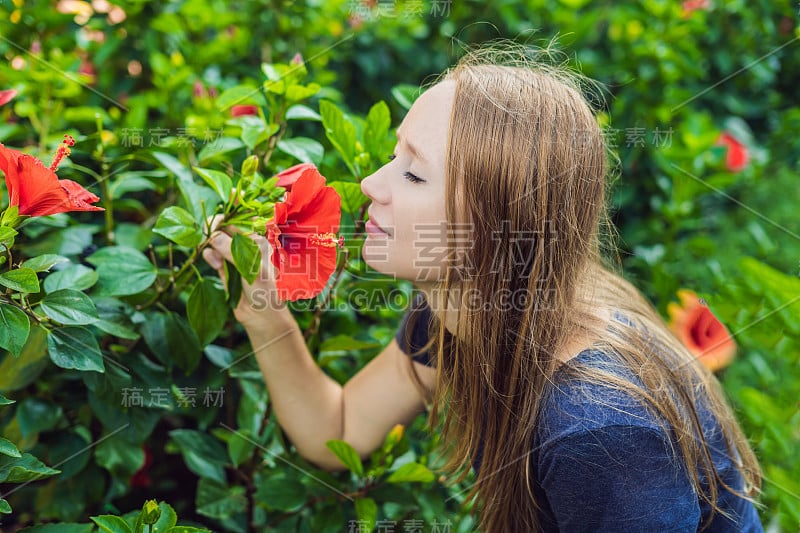 一个年轻女子在公园里闻芙蓉花