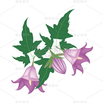 白底风铃花枝