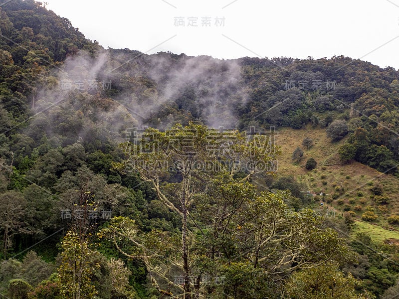 在哥斯达黎加的萨维格雷山谷徒步旅行时，你可以看到死亡谷的热带山地森林。