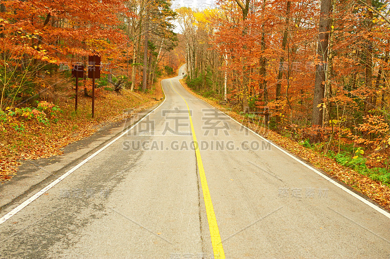 秋景与路