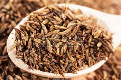 小茴香籽放在木勺里