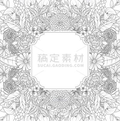 花卉手绘框架上的白色背景