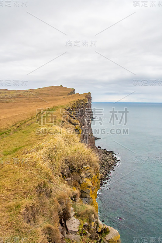 冰岛悬崖海岸的Latrabjarg是数百万只大西洋海雀的筑巢地，悬崖边缘和向下的视野都被过度生长