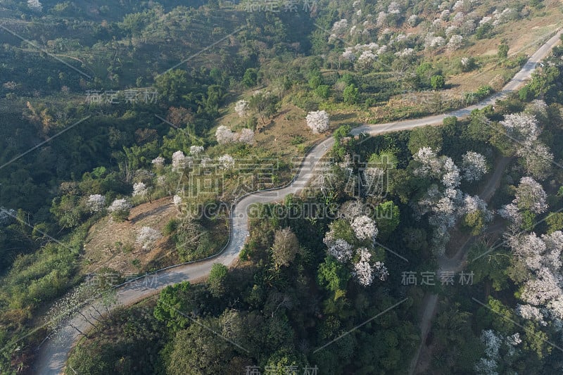 以森林山为背景的沥青蜿蜒道路鸟瞰图。通过无人机安全驾驶和旅行理念，欣赏陡峭弯道的风景。