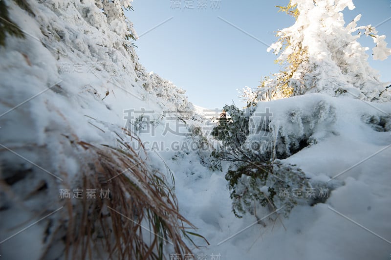 美丽的冬天。国家自然公园。下雪的冬天