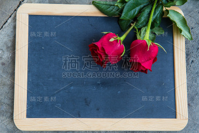 黑板上的红玫瑰