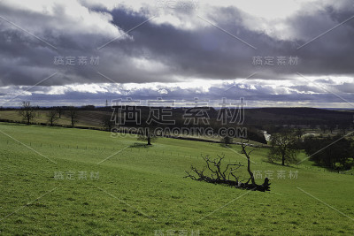 诺丁汉郡冬季景观。