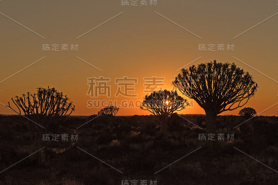 加拉斯日落时树木和岩石的剪影