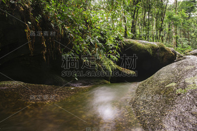 长时间暴露在新鲜的热带溪流中