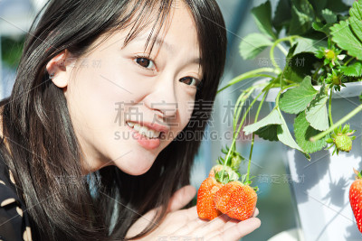手里拿着草莓的年轻女人
