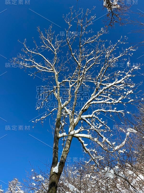 意大利北部阿尔卑斯山降雪后的清晨，瓦雷兹的“鲜花广场”