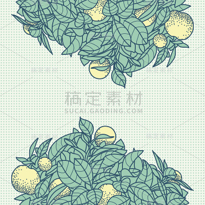 卡片上画着一棵小橘子树