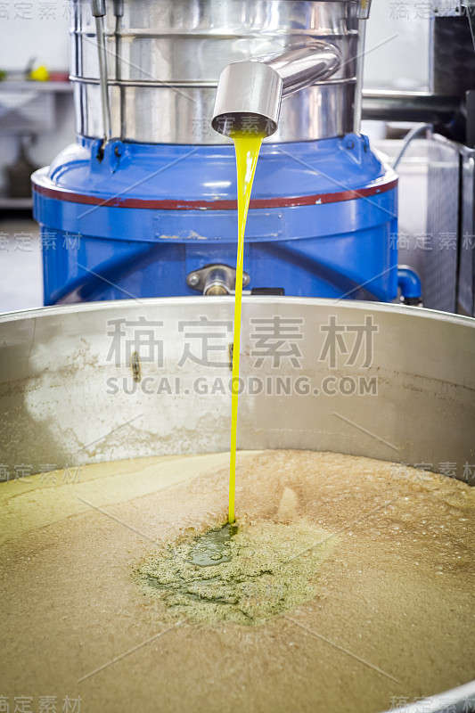 在普利亚制作橄榄油