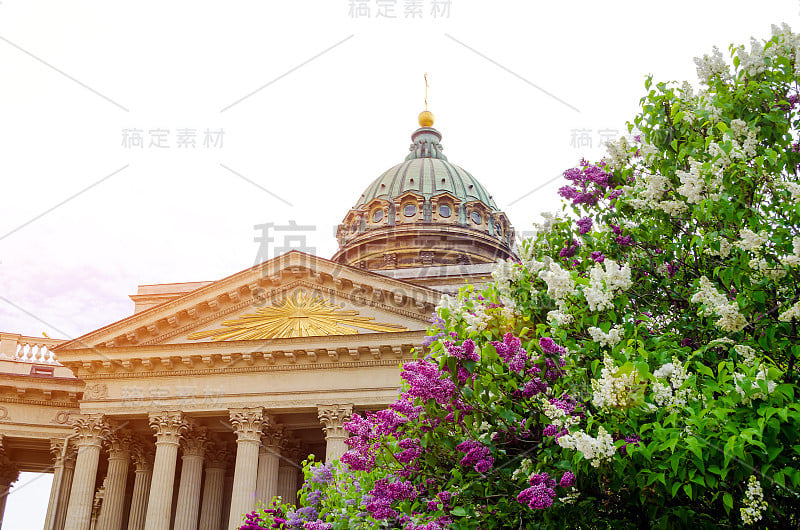 圣彼得堡喀山大教堂夏日丁香。