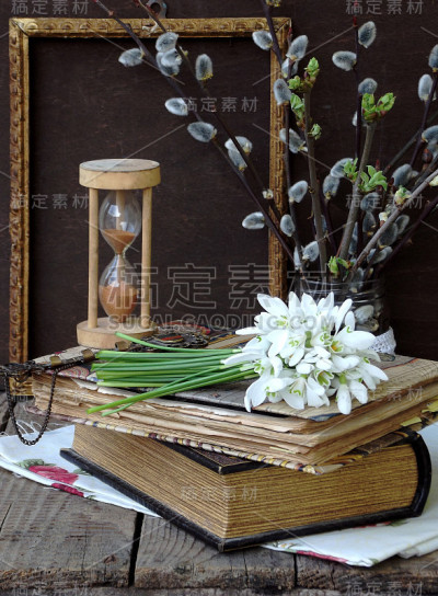 雪花莲和柳枝