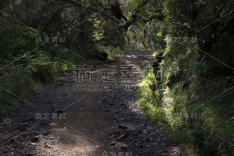 勒瓦达里斯科，旅游徒步小径，拉巴克，马德拉岛，葡萄牙