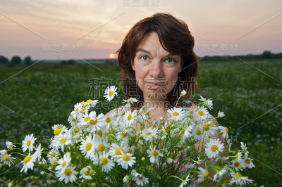 女人甘菊