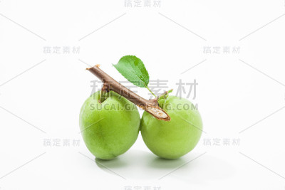 青梅果，带叶子的白领带