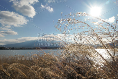日本——从川口湖眺望富士山的田园诗般的景色