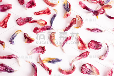 白色床单上的郁金香花瓣