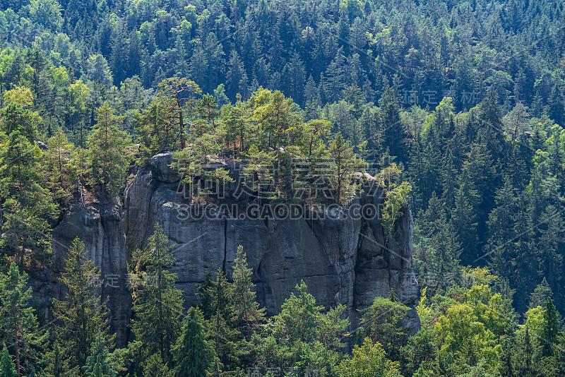 瑞士波西米亚的坏山道。巴斯蒂桥和山景。狭窄的岩石，天然的砂岩拱门在欧洲。有绿色植物、蓝天和阳光的山景