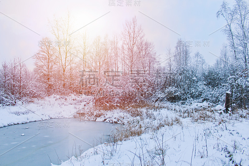 结了冰的小池塘，有雪和树。捷克景观