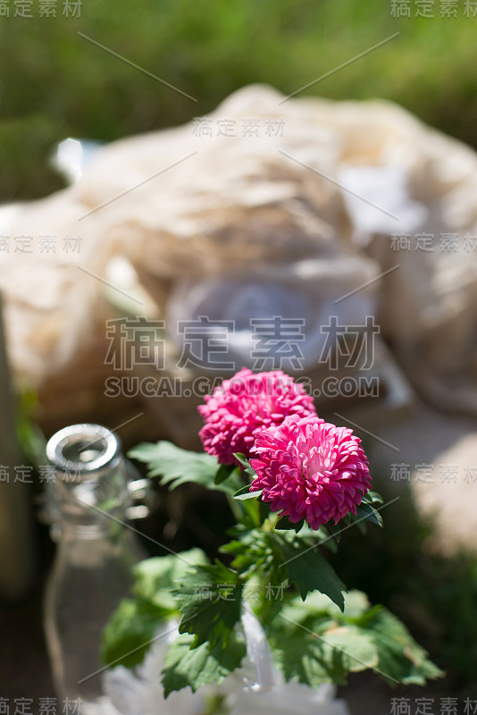 花瓶里有一朵粉红色的花