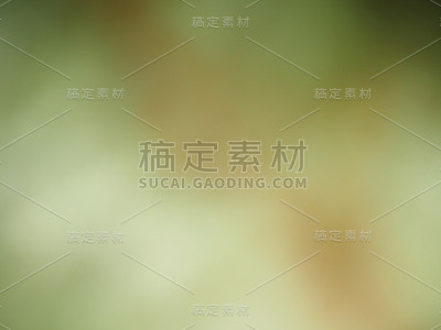 的背景