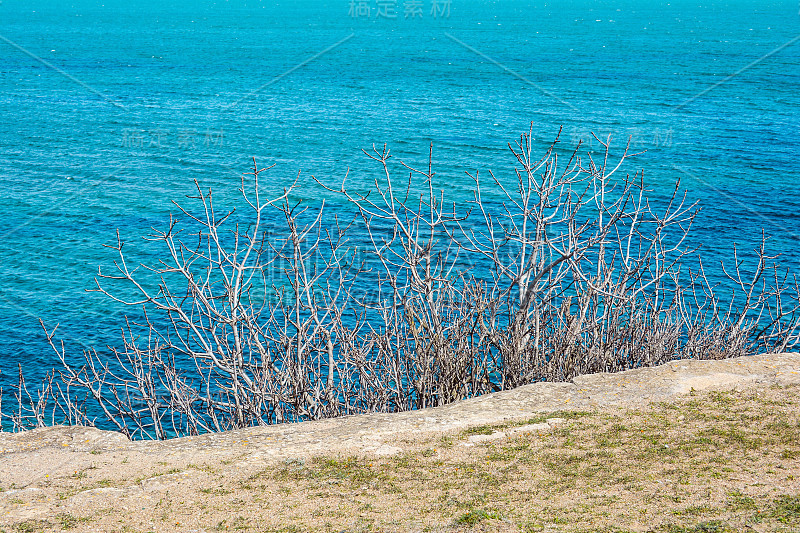 海海岸线