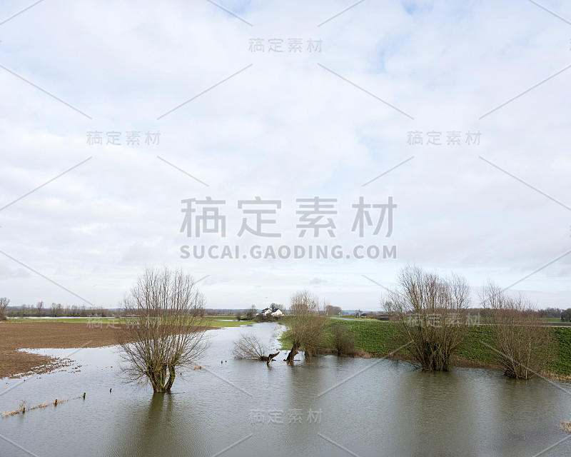 荷兰Betuwe地区lek河泛滥平原被洪水淹没