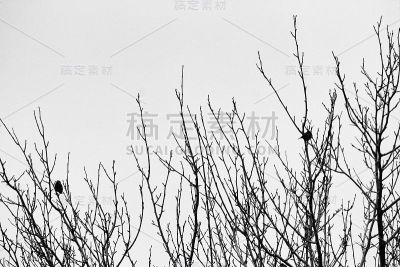 最小的