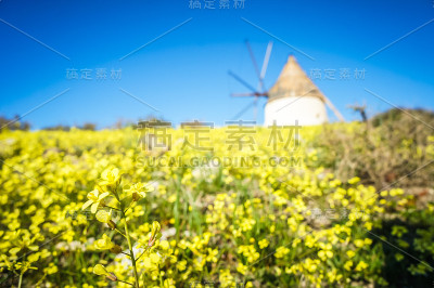 西班牙的风车