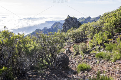 皮科瑞沃徒步旅行，云层之上，令人惊叹的神奇景观，令人难以置信的景色，阳光明媚的天气，低云层，葡萄牙马