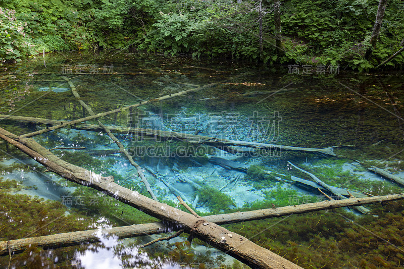 北海道美丽的池塘