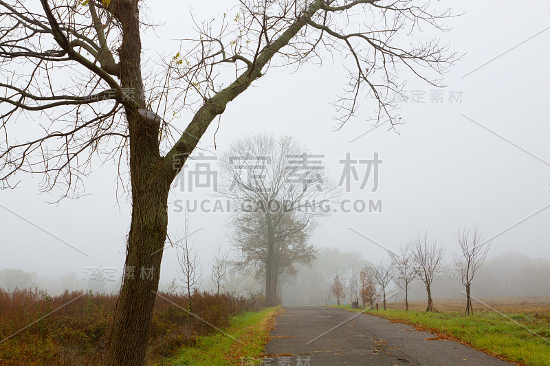 五彩缤纷的秋天风景。