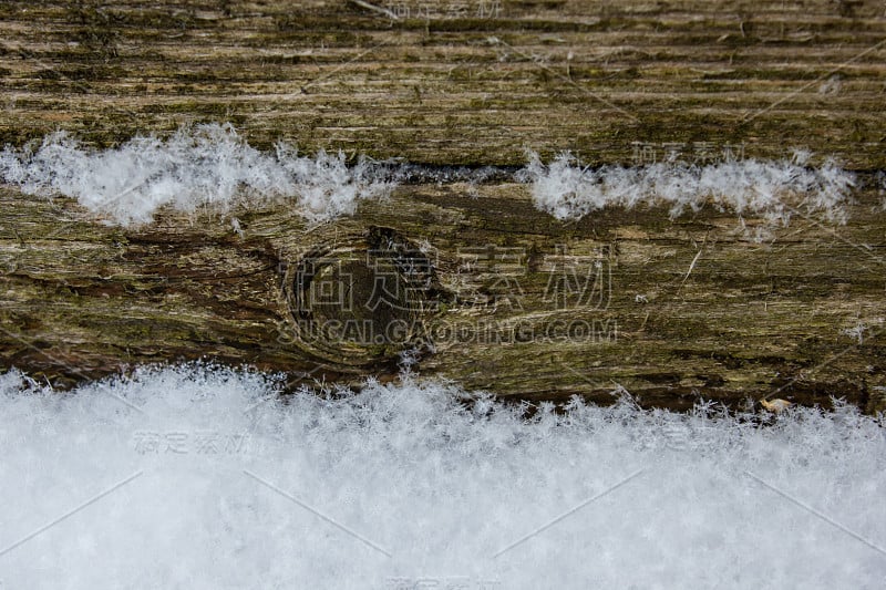 雪与木背景