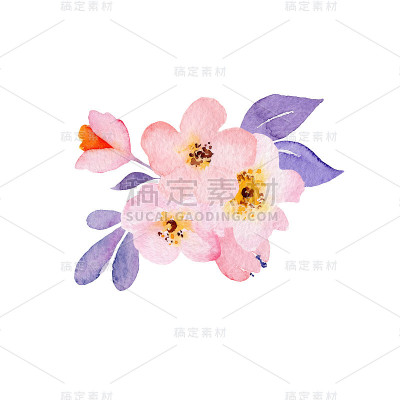 可爱的水彩手绘插图花孤立在白色的背景，情人节贺卡，婚礼卡，浪漫的印刷品和剪贴簿。