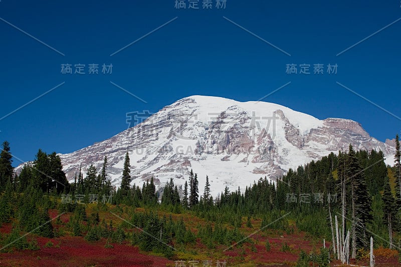 秋谷上的雷尼尔山