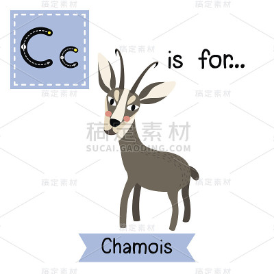 字母C跟踪。站麂。
