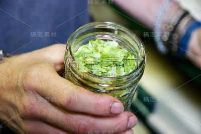 干燥的有机啤酒花在玻璃罐中