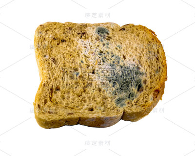 一片灰色的面包，蓝色和绿色的霉菌孤立在白色的背景