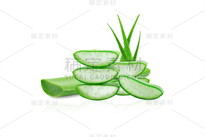 在白色背景上分离的新鲜芦荟。一种非常有用的草药，用于皮肤护理和头发护理。