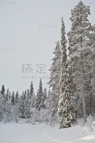 冬天的场景