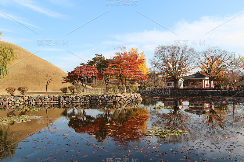 庆州大陵园皇家陵墓的秋景