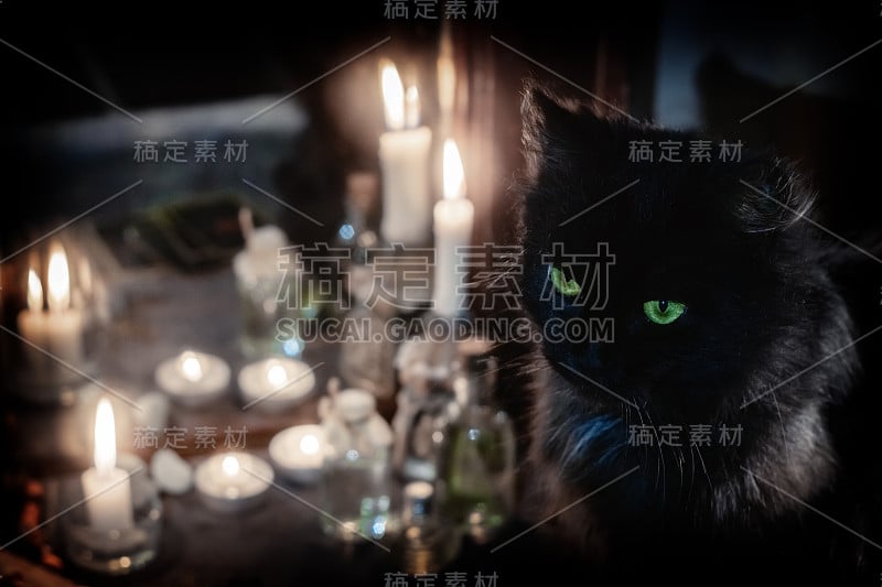 魔法属性。黑猫和燃着的蜡烛靠近旧镜子