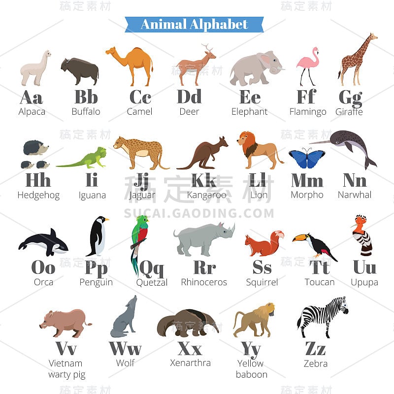 英文矢量字母表的孩子与可爱的野生动物附近的字母