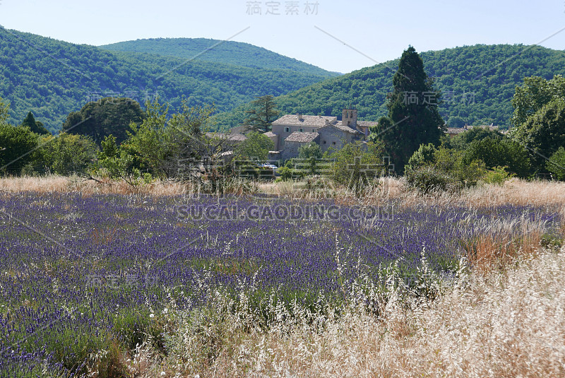 漫步在luberon，天文台的圣米歇尔和巴侬在沃克鲁兹，法国