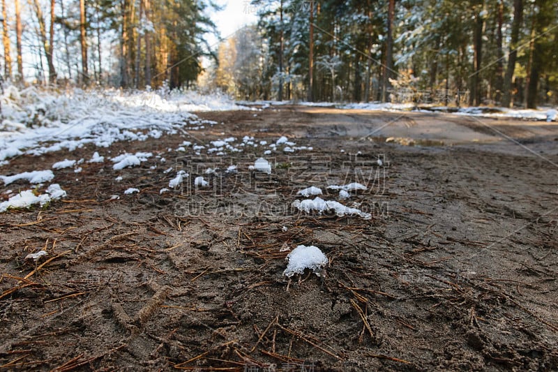 俄罗斯弗拉基米尔地区秋天森林里的肮脏道路