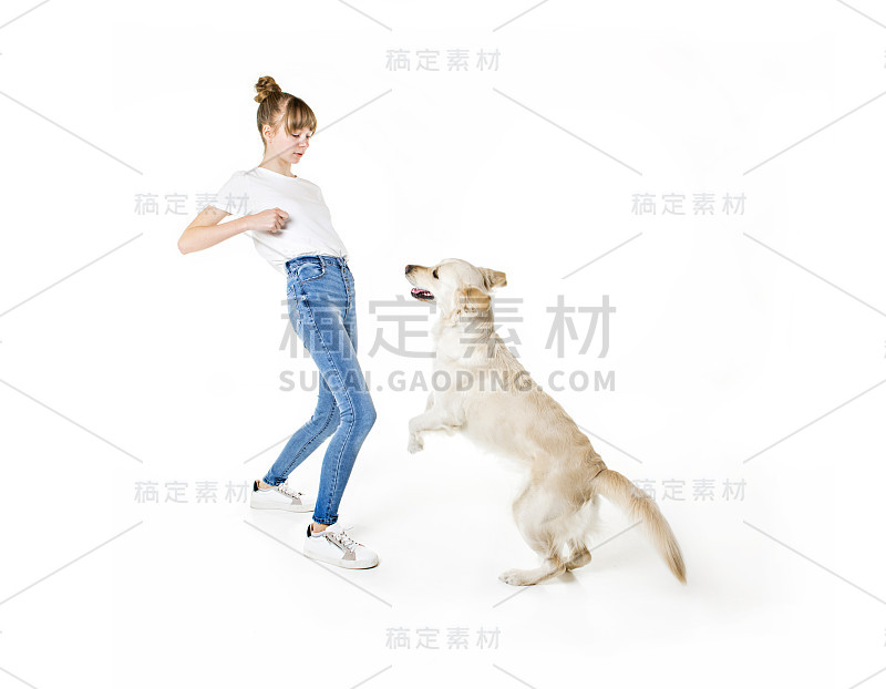 漂亮的少女和她美丽的金毛猎犬在白色的背景