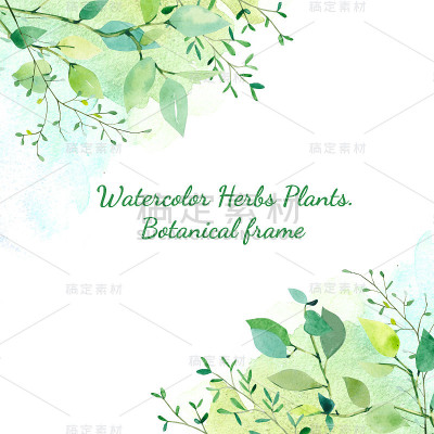 水彩框架与树枝和树叶草本植物，绿色纹理。